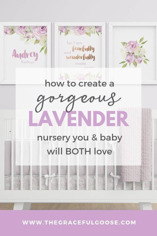 lavender nursery