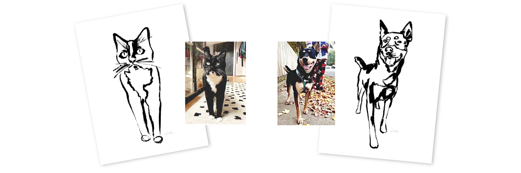 Cash Color Custom Pet Portraits Available on CashColor.Com