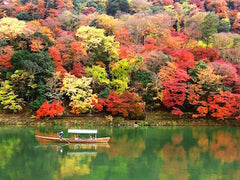 Kyoto autumn leaves