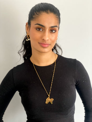 Undivided punjab with the 5 rivers map necklace