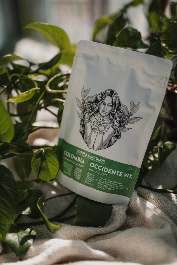 Coffea Circulor - Kolumbia Occidente Washed WX - filtr - kawa ziarnista 250g - Sklep.Kawa.pl