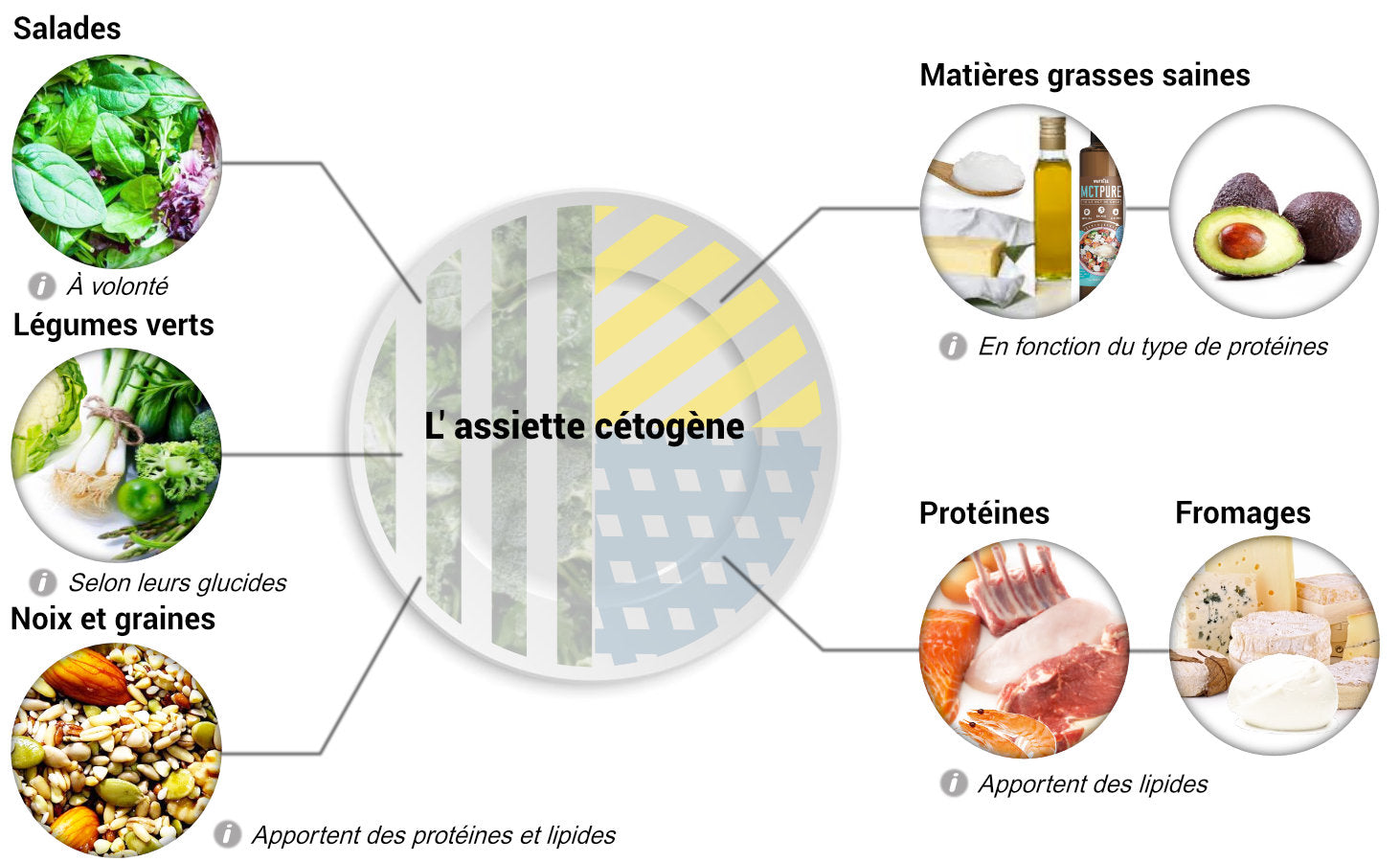 Le régime cétogène: un guide du keto diet pour débutant  Aliments  cétogènes, Régime cétogène, Idée recette minceur