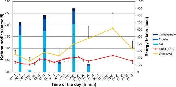 graph comparaison des concentrations en cétones urinaires et cétones sanguins au cours de la journée