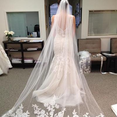 simple long veil