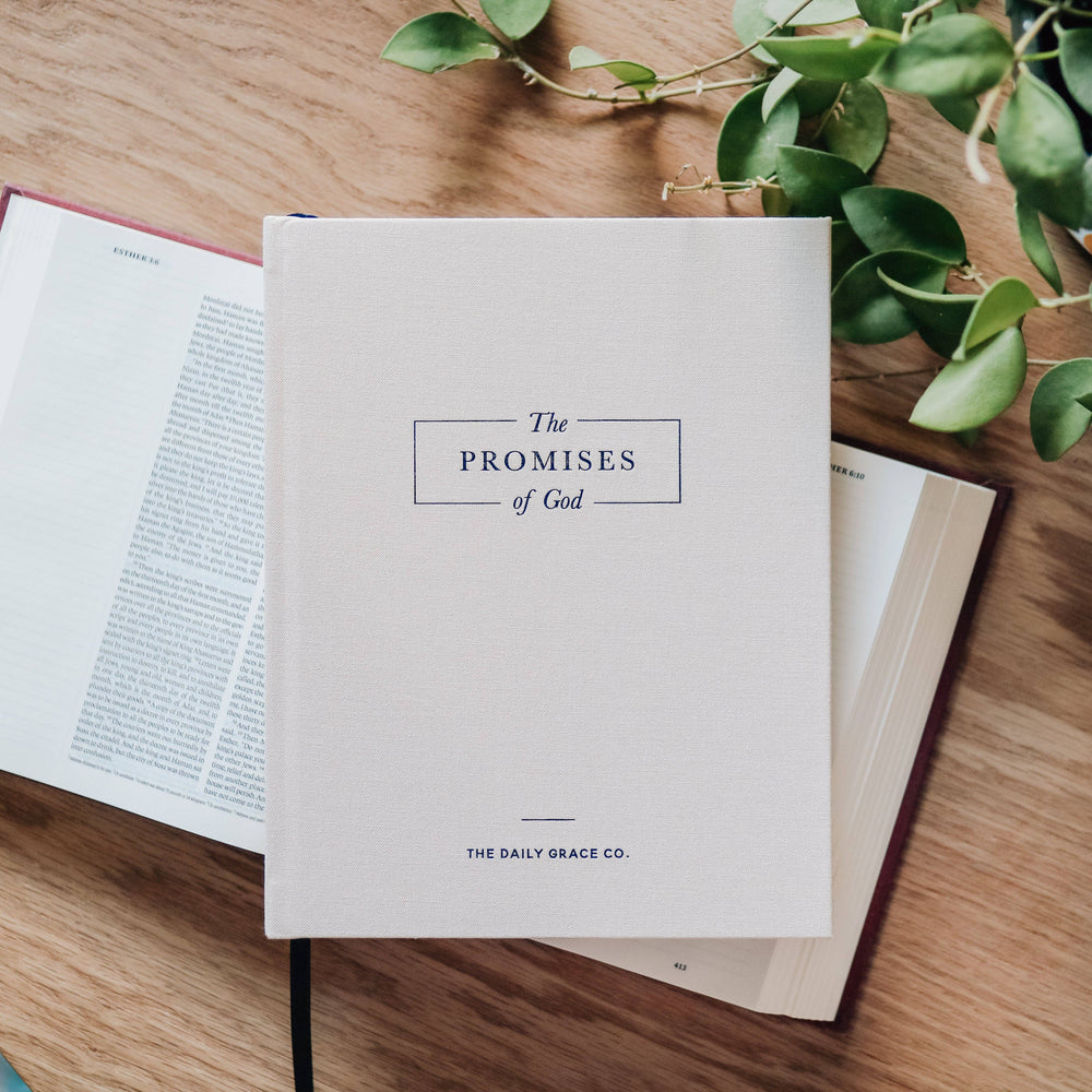 Daily Grace Scripture Lettering Workbook