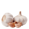 Botanicals Beauty product ingredients garlic