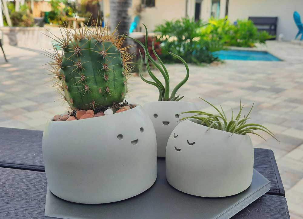 happy face plant pot gift for cancer patient