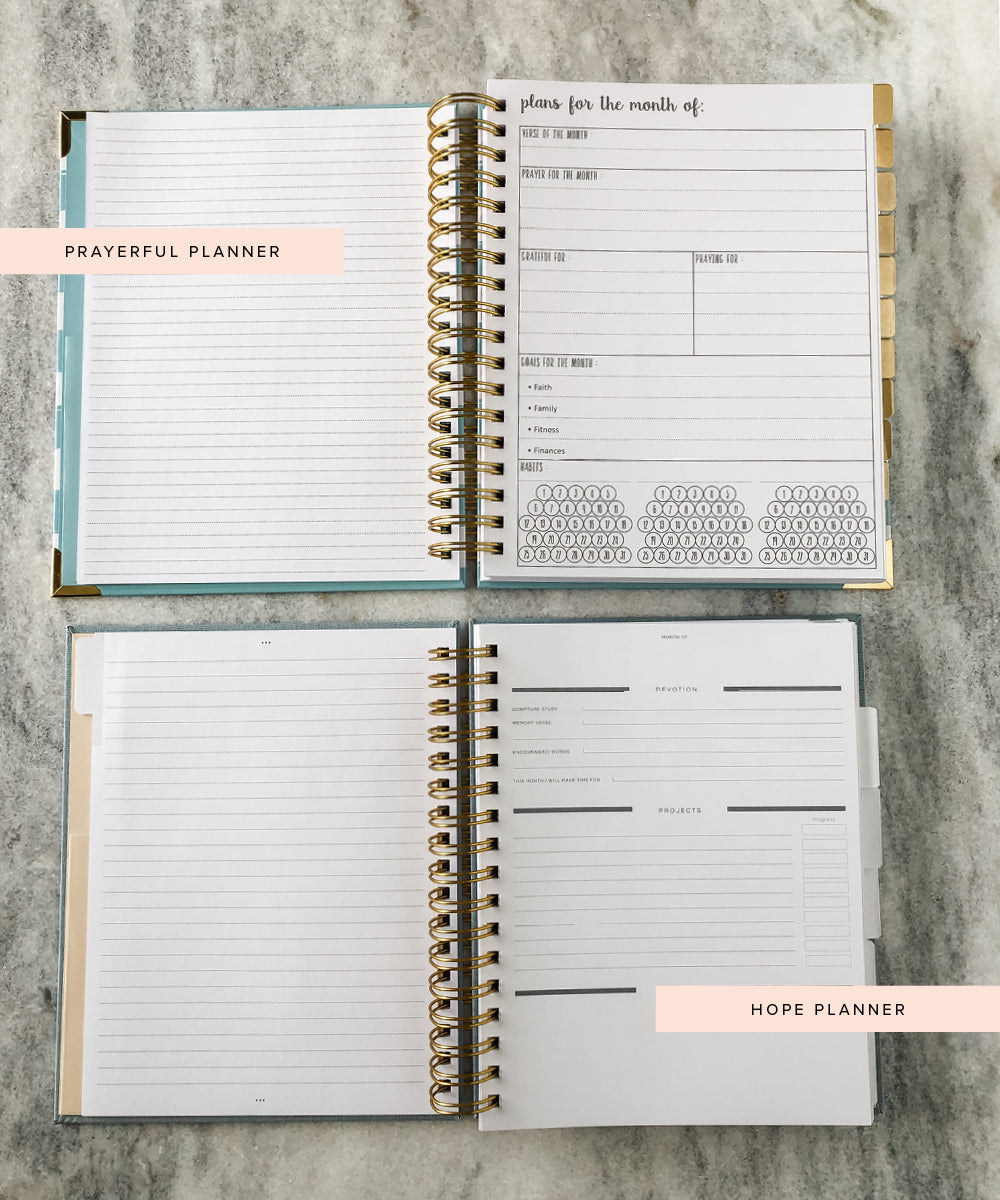 prayerful planner versus hope planner monthly goals view