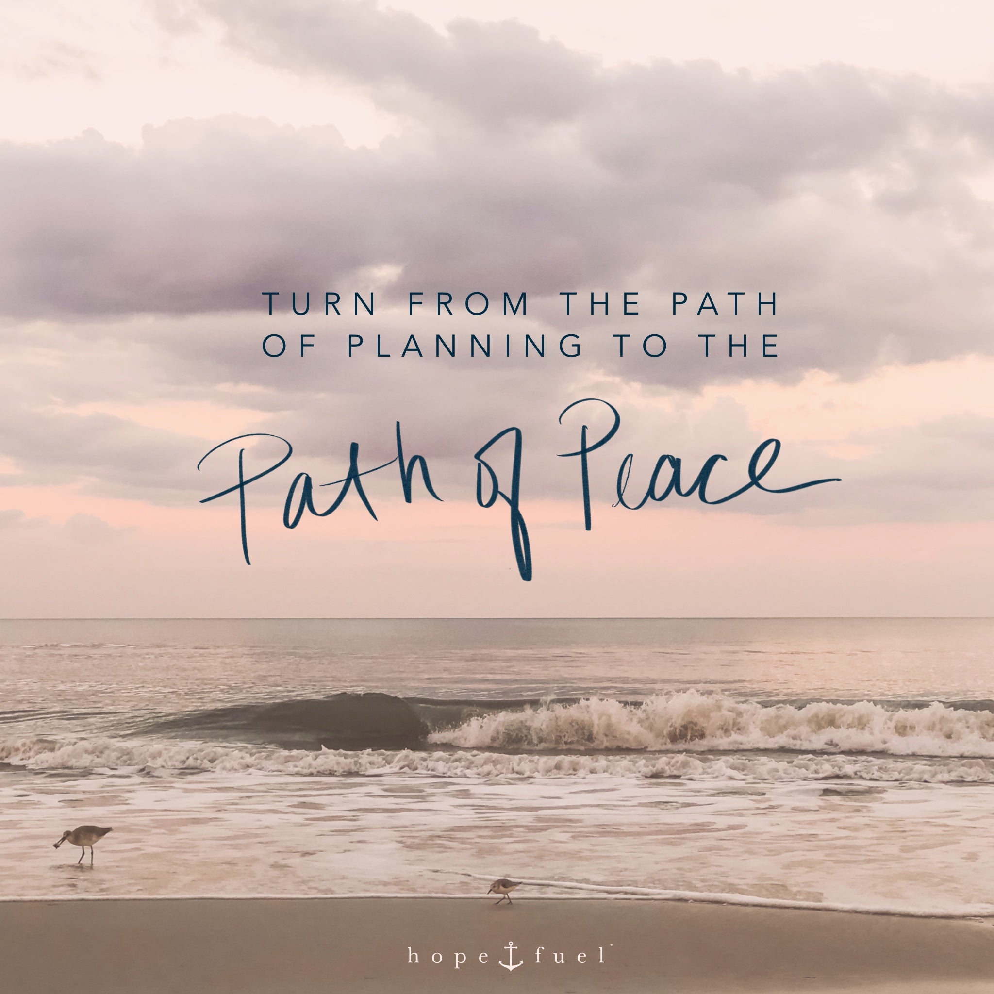turn from the path of planning to the path of peace