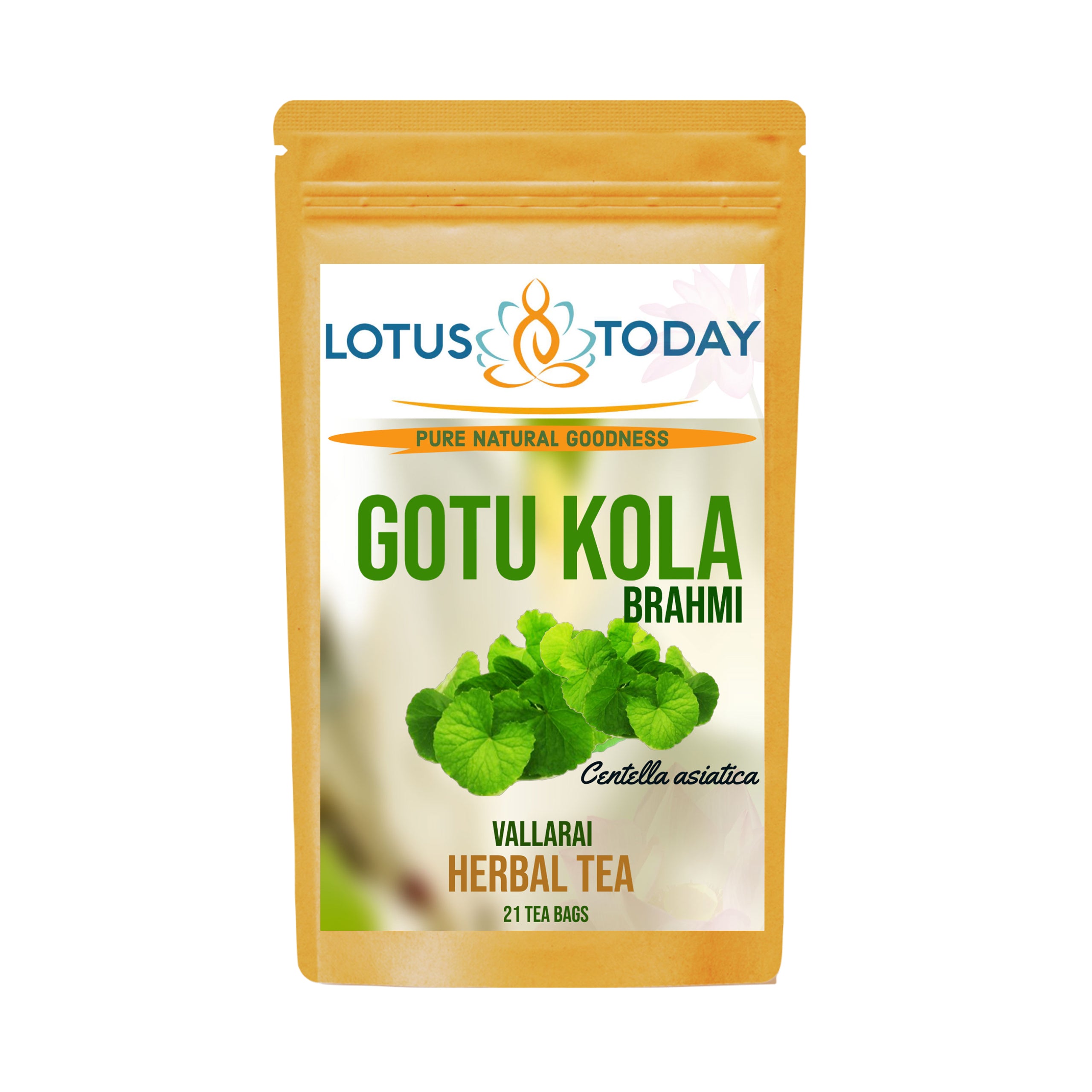 Gotu Kola Tea Brainy Tea Better Cognitive Function Brahmi | Vallarai T – lotus