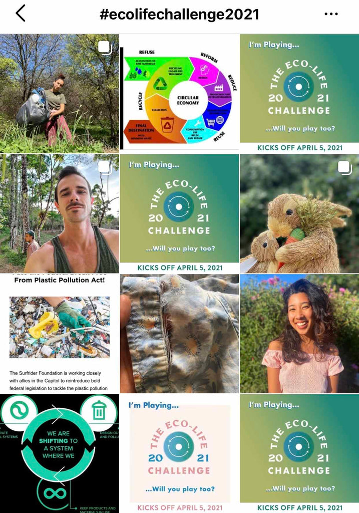 Eco-life Challenge Instagram Posts