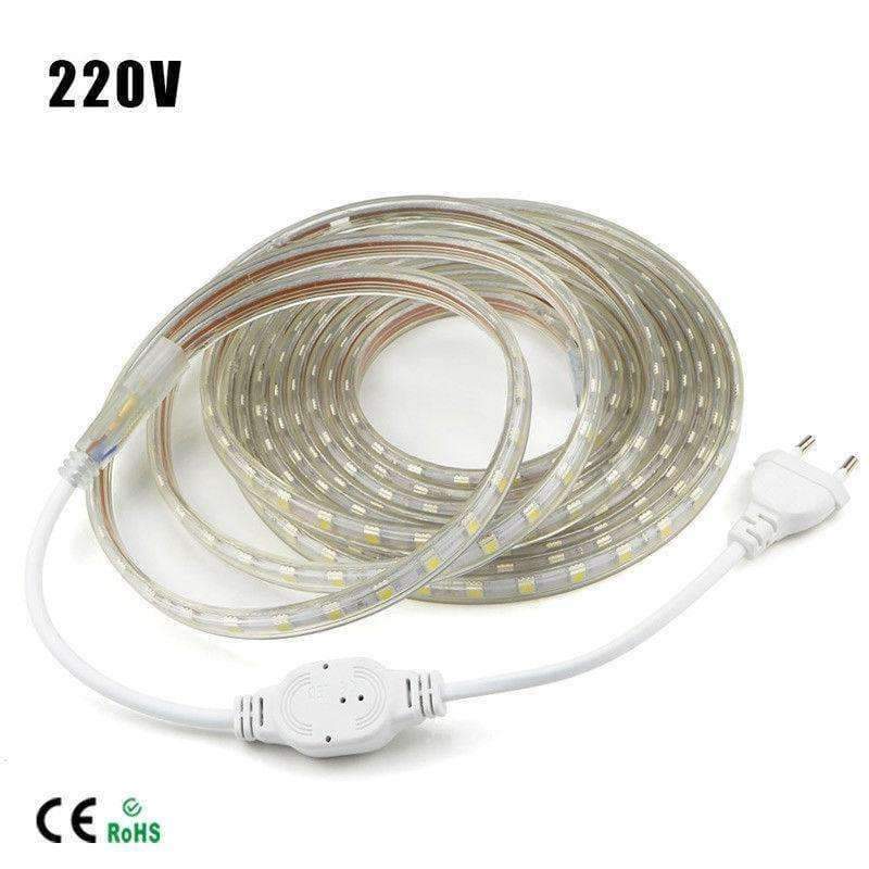 Planet+Gates+AC220V+SMD+5050+Flexible+LED+Strip+Light+60leds/m+Waterproof+LED+Tape+Light+With+Power+Plug+1M/2M/3M/5M/6M/7M/8M/9M/10M/12M/20M