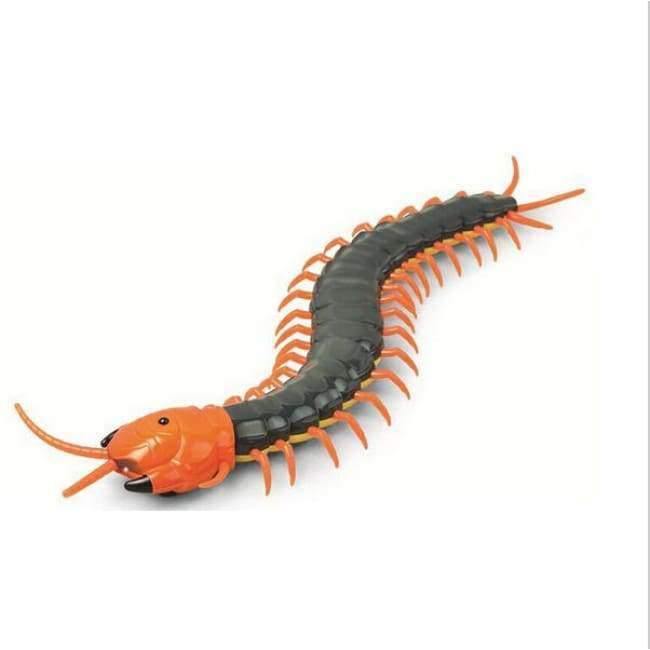 Planet+Gates+China+Creepy-Crawly+Remote+Control+Centipede+/+Giant+RC+Scolopendra+Novelty+Toy+Gift
