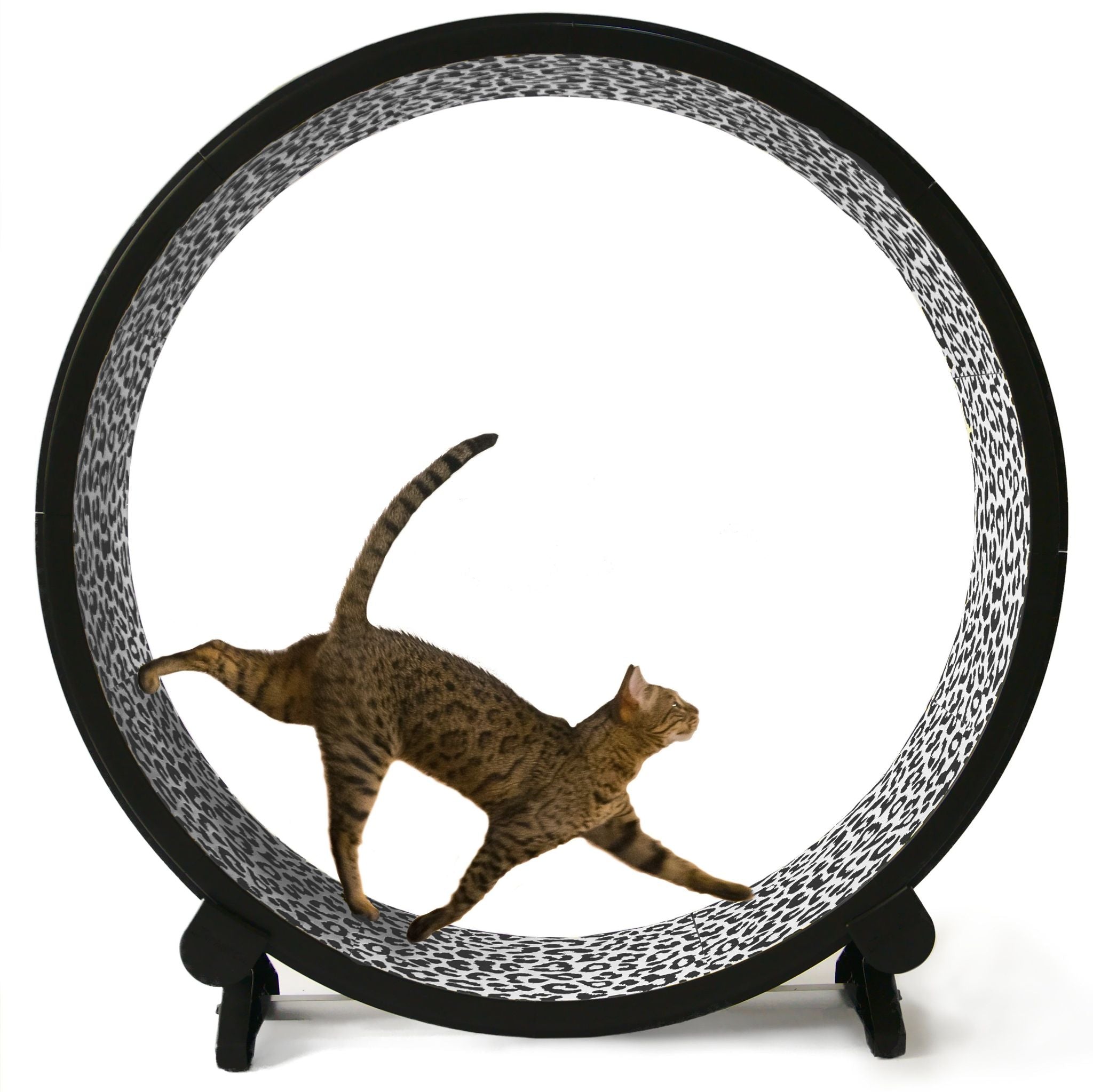 One Fast Cat Wheel Please Note next 
