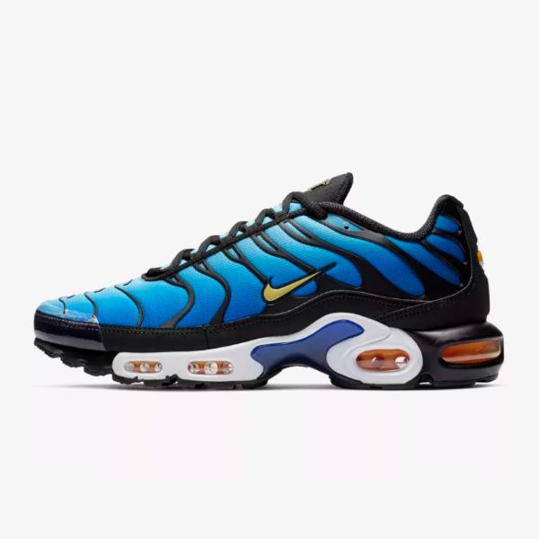 nike air max plus men's blue