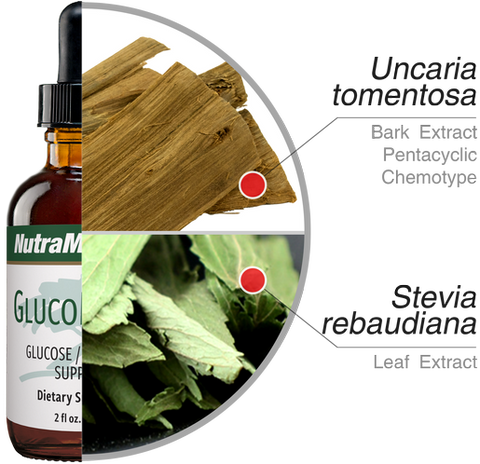 Ingredientes de GlucoMedix