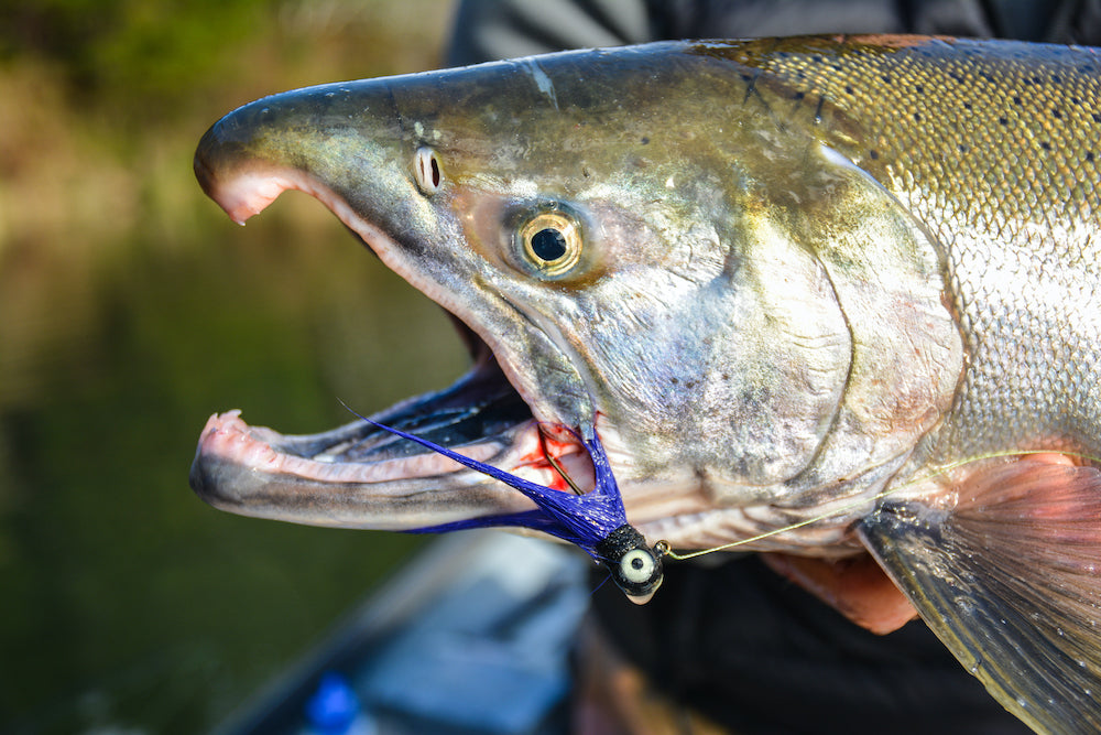 Fishing Pocket Water by Jason Brooks – Salmon Trout Steelheader