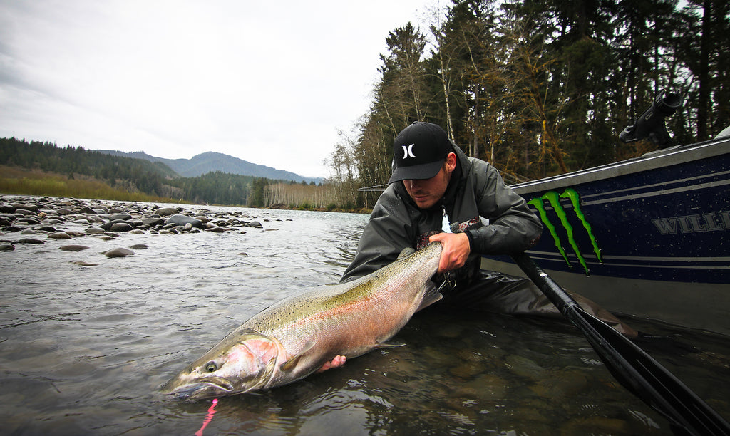 wild steelhead native big olympic peninsula joseph princen