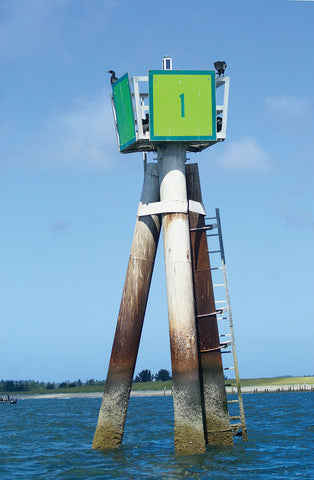 Fall Chinook salmon season to resume through the end of the year at Buoy 10  