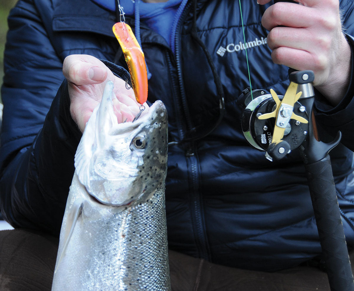 PUTTING IN A PLUG FOR STEELHEAD FISHING - Bob Rees – Salmon Trout