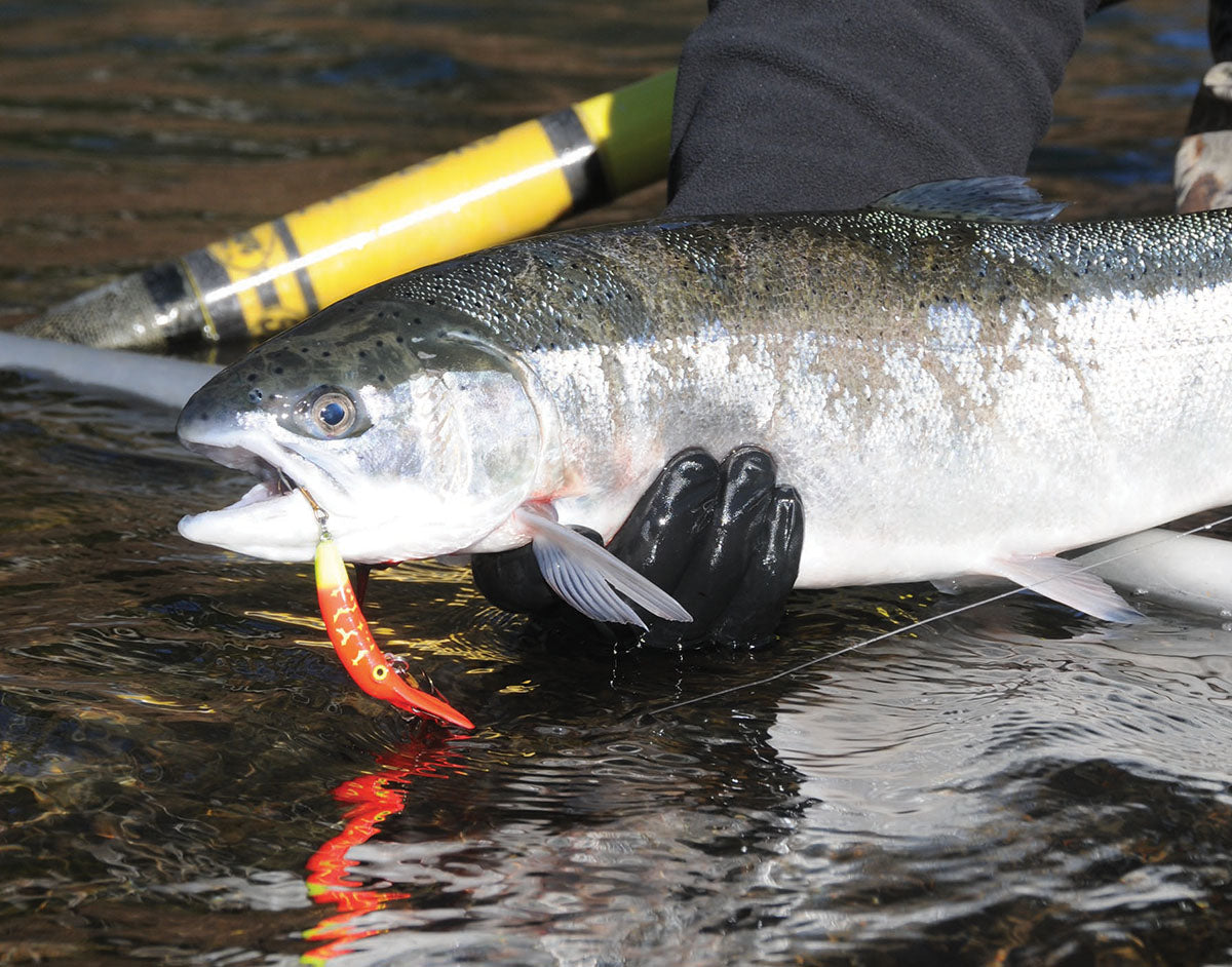 PUTTING IN A PLUG FOR STEELHEAD FISHING - Bob Rees – Salmon Trout  Steelheader