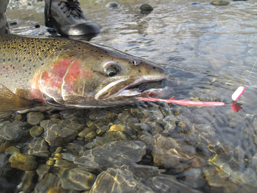 Fishing Pink Worms for Steelhead by Jason Brooks – Salmon Trout Steelheader