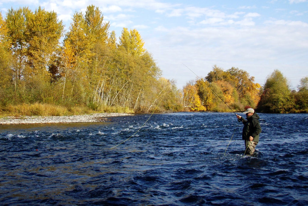 Fishing the Summer Steelhead of Fall by Michael Gorman – Salmon
