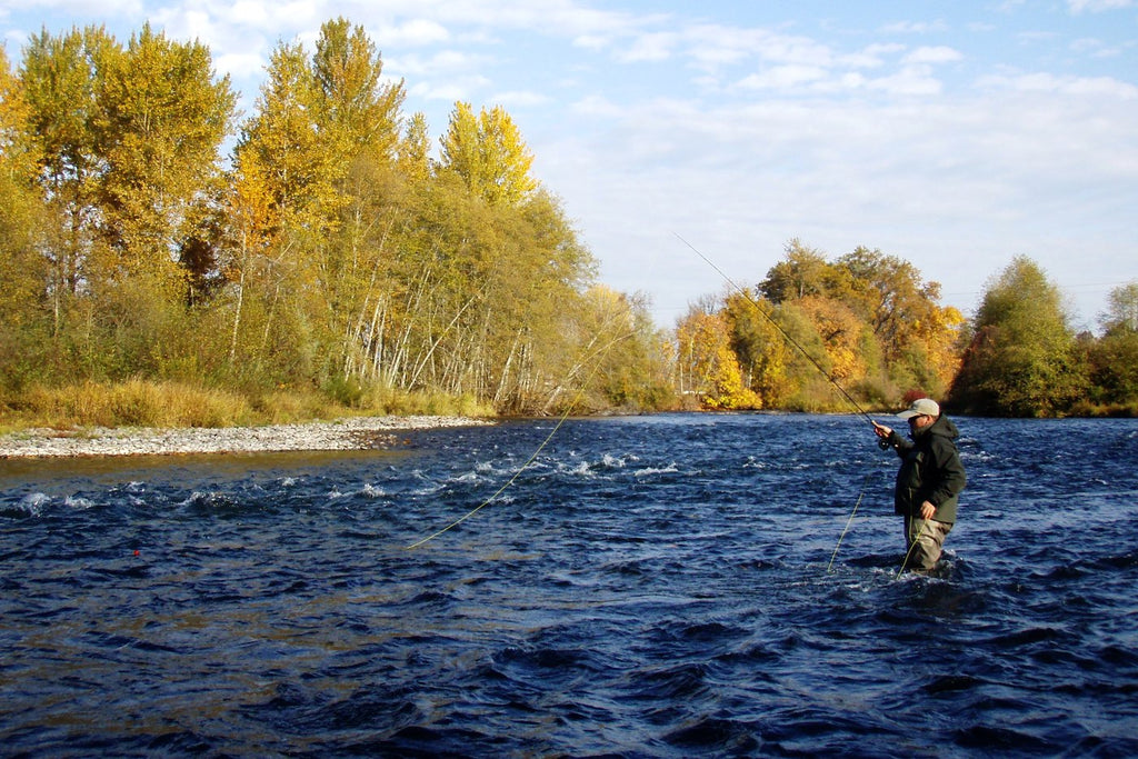 Fishing the Summer Steelhead of Fall by Michael Gorman – Salmon Trout  Steelheader