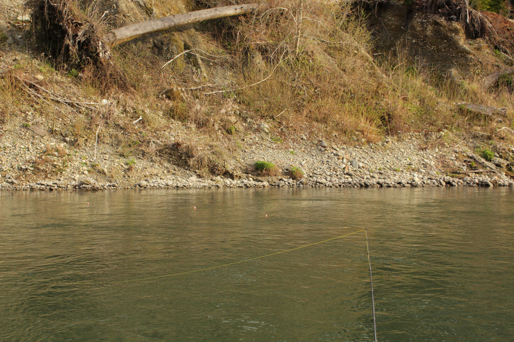 quinault fishing steelhead