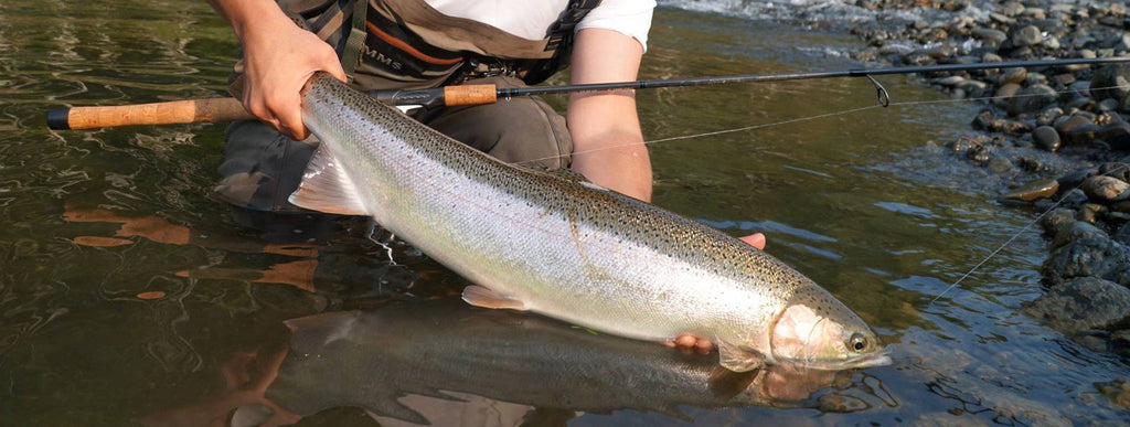 A Steelheader Rod. 9'6 Spinning 6-12 Lamiglas X-11 – Salmon Trout  Steelheader