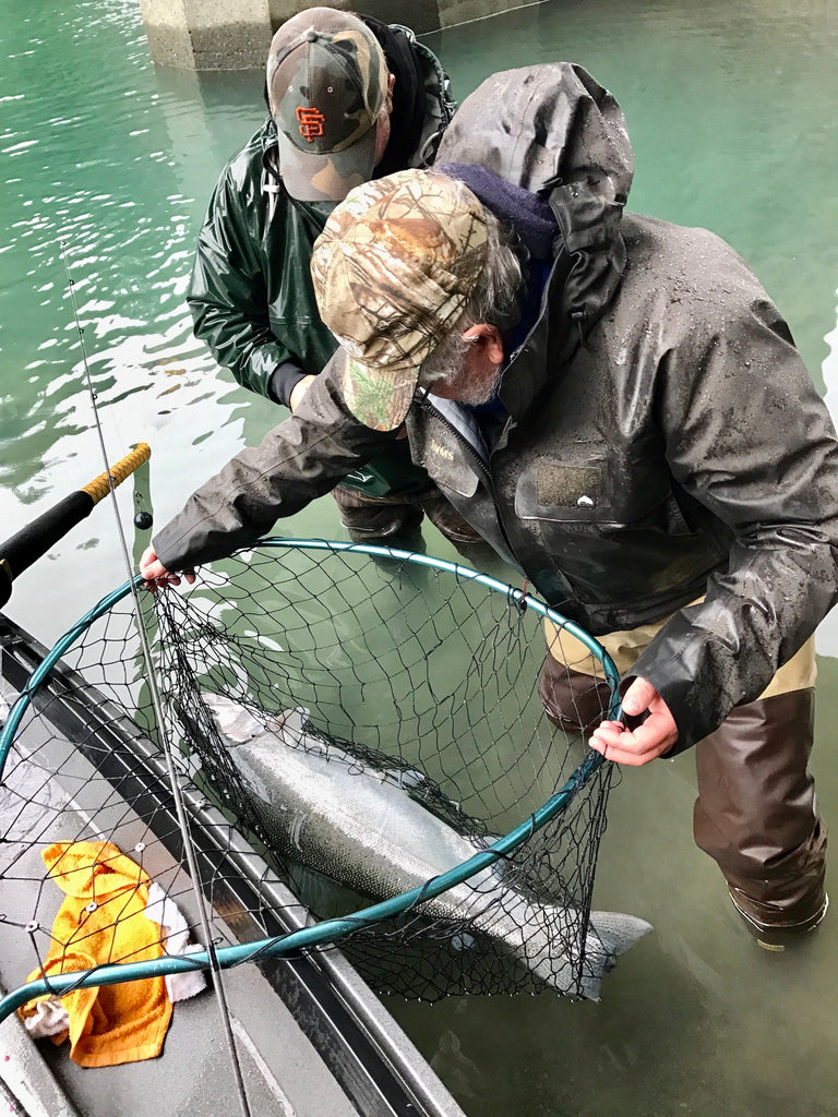 A California State Record Steelhead? by JD Richey – Salmon Trout Steelheader