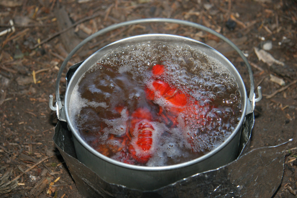 crayfish crawdads boil pot boiling cook
