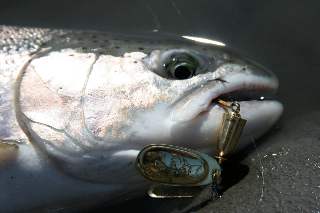 Top 5 Lure Presentations for Chinook Salmon