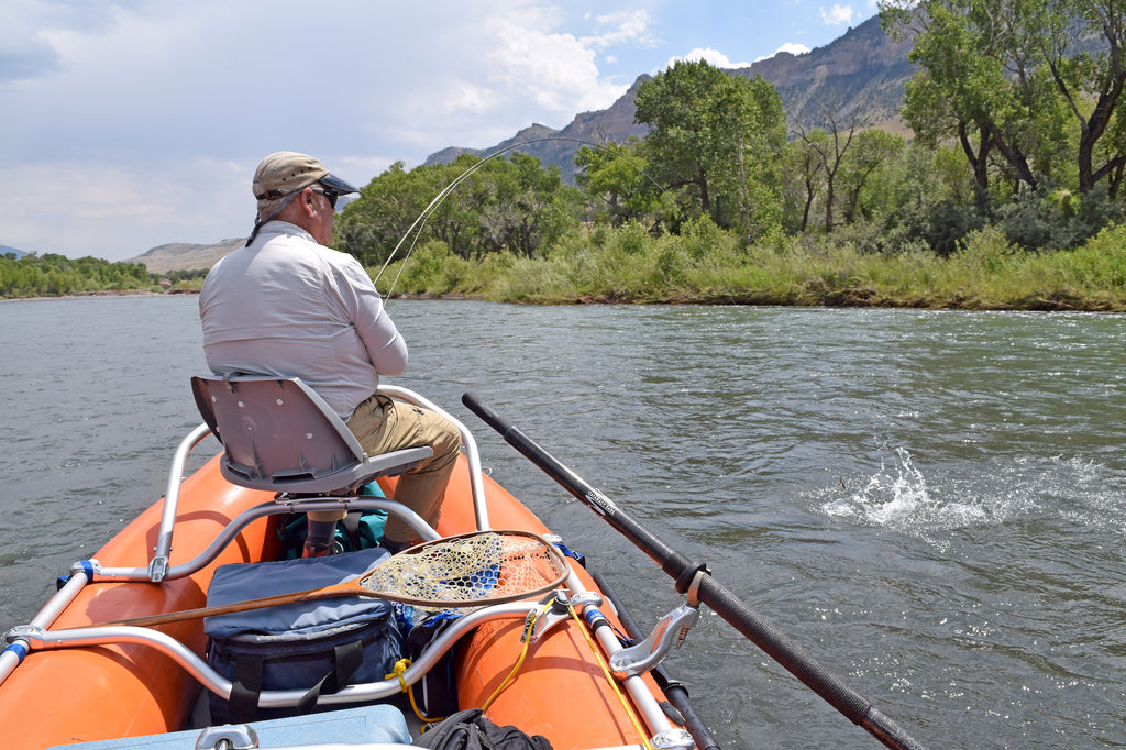 cody wyoming trout fishing shoshone river fish fishing