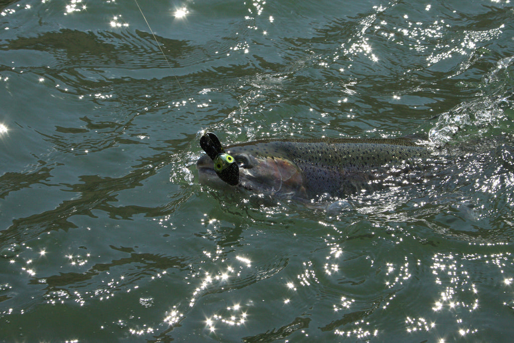 Fishing Tributary Mouths on the Columbia by Scott Haugen – Salmon Trout  Steelheader