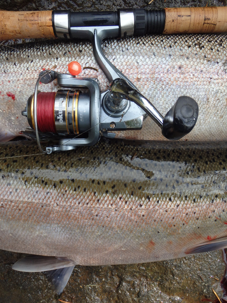 Bead Bouyancy by Randy Bonner – Salmon Trout Steelheader