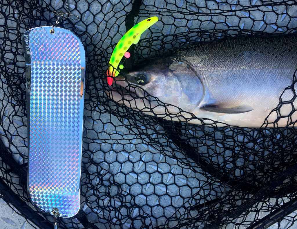 The Worst Kept Secret Salmon Rig by JD Richey – Salmon Trout