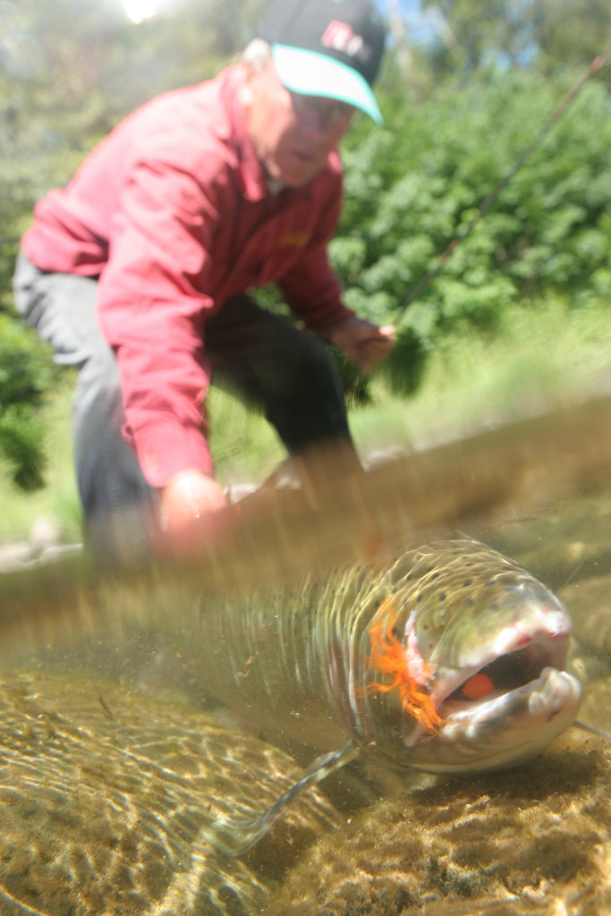 Sizzling Summer Steelhead Success  Story & Photos by Scott Haugen – Salmon  Trout Steelheader