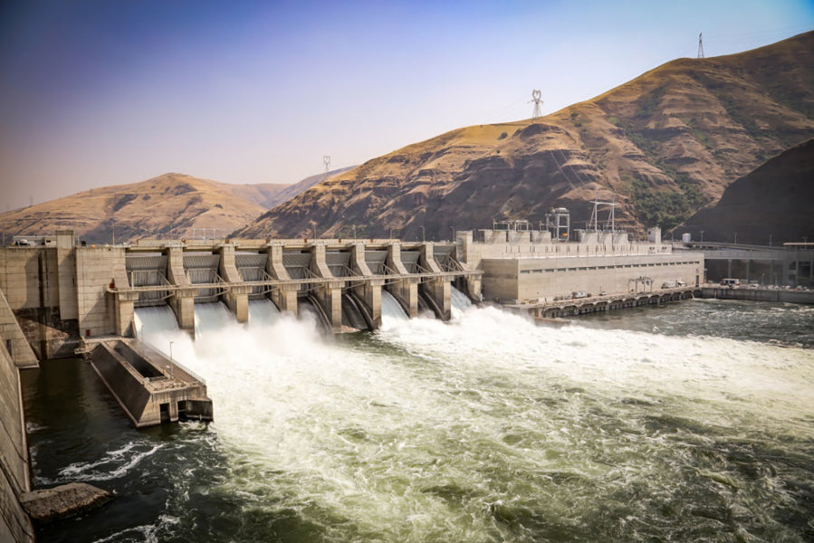 lower snake dam dams 