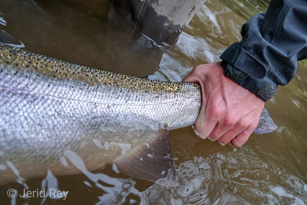 Identifying Classic Steelhead Water: Flats