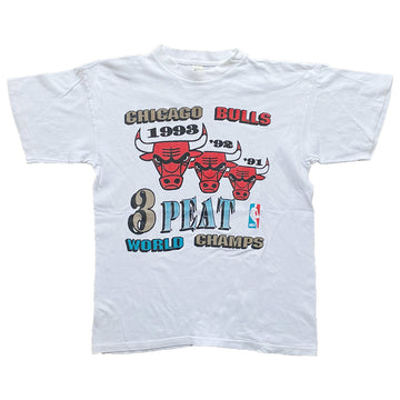 Dynasty Unleashed: Chicago Bulls 1996 Champions Tribute T-Shirt - Vintage  Band Shirts