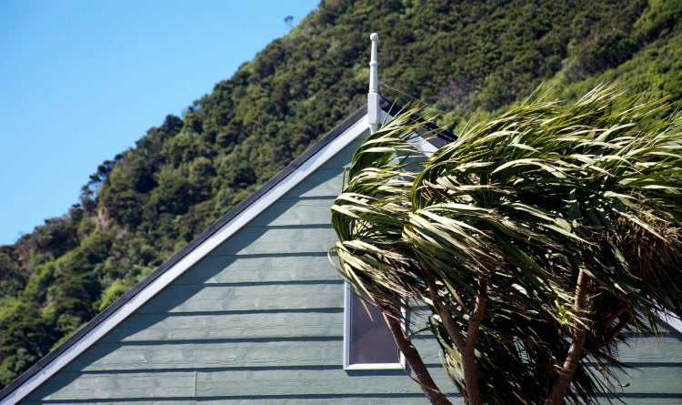 Solving Noisy Range Hood Cap Problems in Windy Conditions image showing the exterior of a house and palm trees blowing in the wind