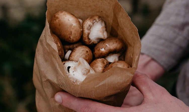 store mushrooms in a paper bag to combat moisture and mold