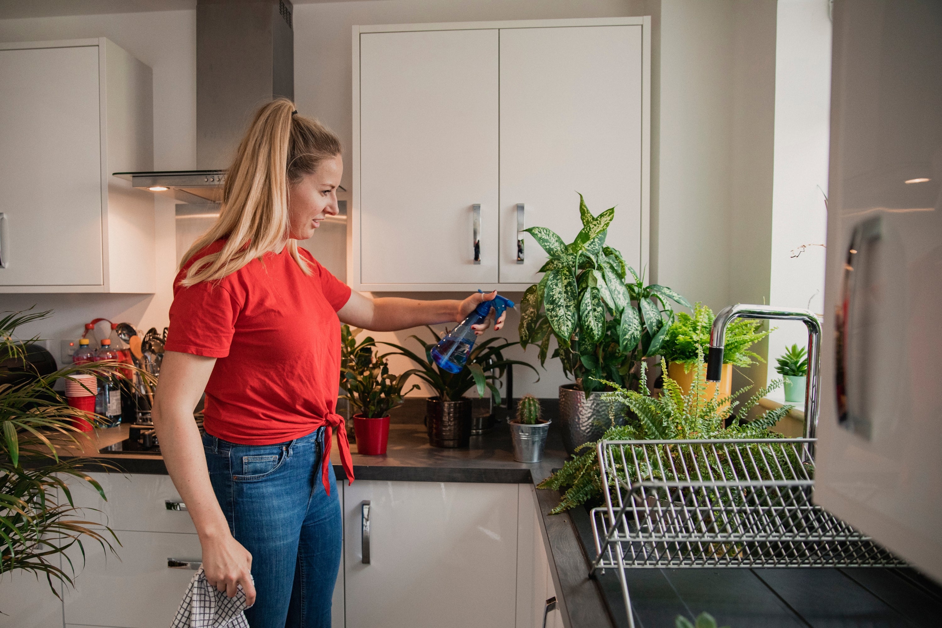 Five Things to Consider When Choosing a House Plant woman watering her kitchen plants