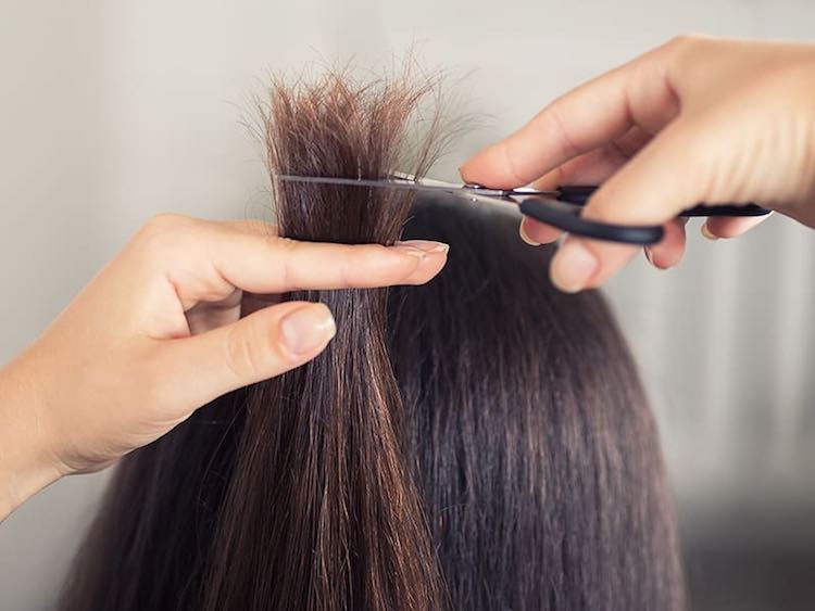 Trimming Hair