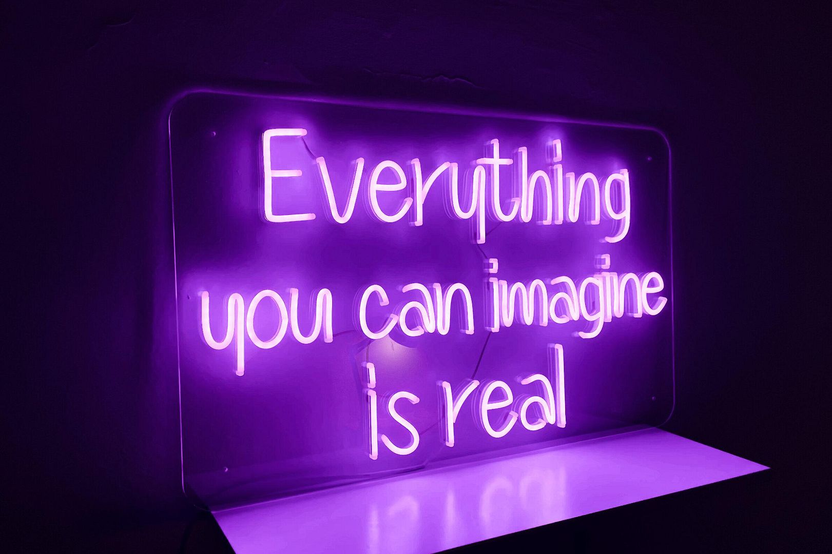 Everything You Can Imagine is Real Neon Sign