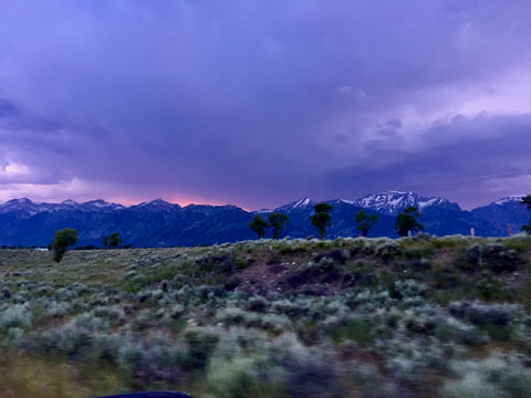 Mimi So Visits Jackson Hole Teton Mountains