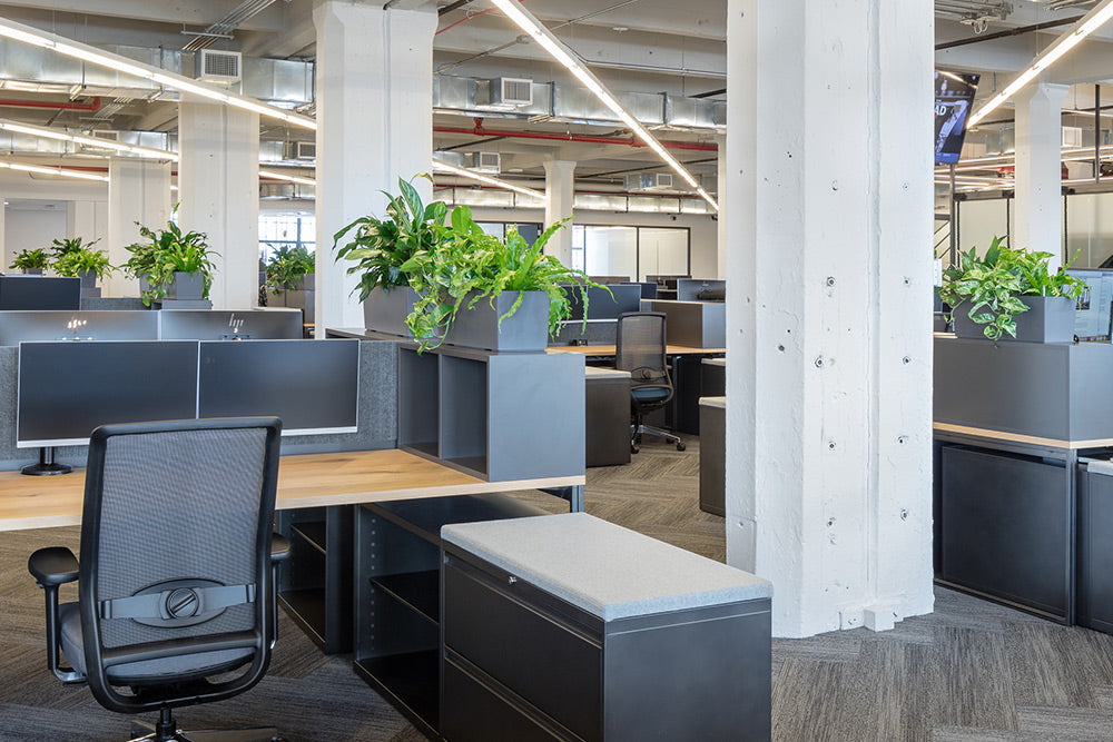 Desk Planters in an office setting