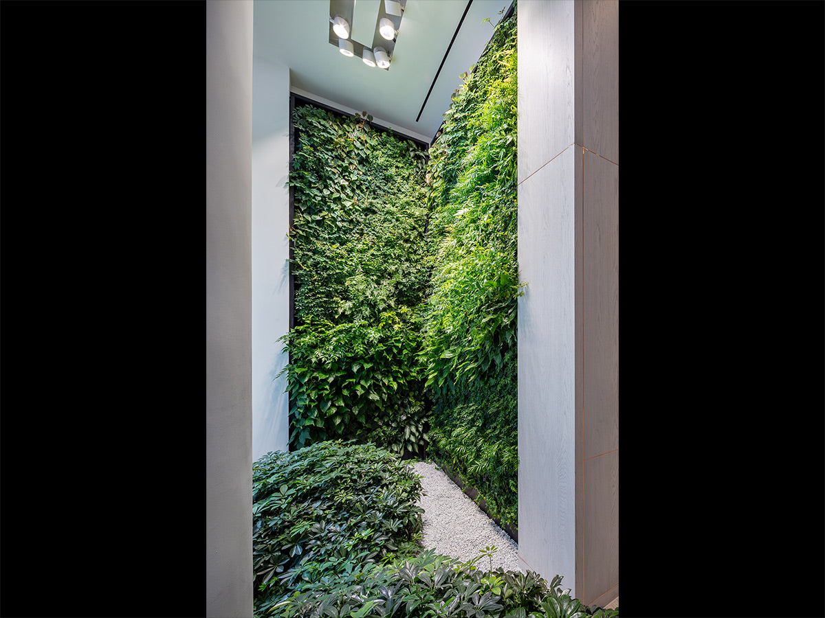 Biophilic Design Brooklyn