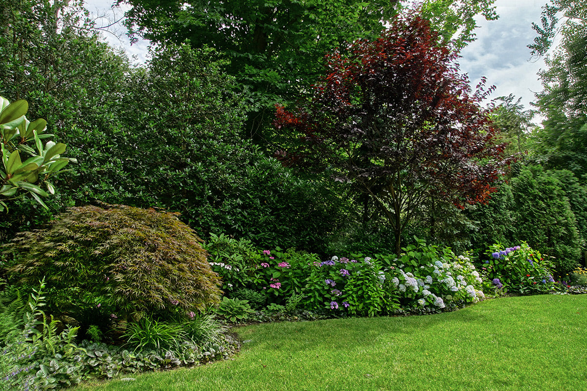 Brooklyn Backyard Landscaping